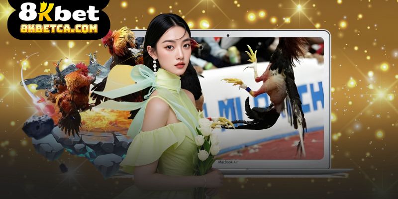 Thuật Ngữ Đá Gà - Tổng Hợp Khái Niệm Cơ Bản Trong Cá Cược